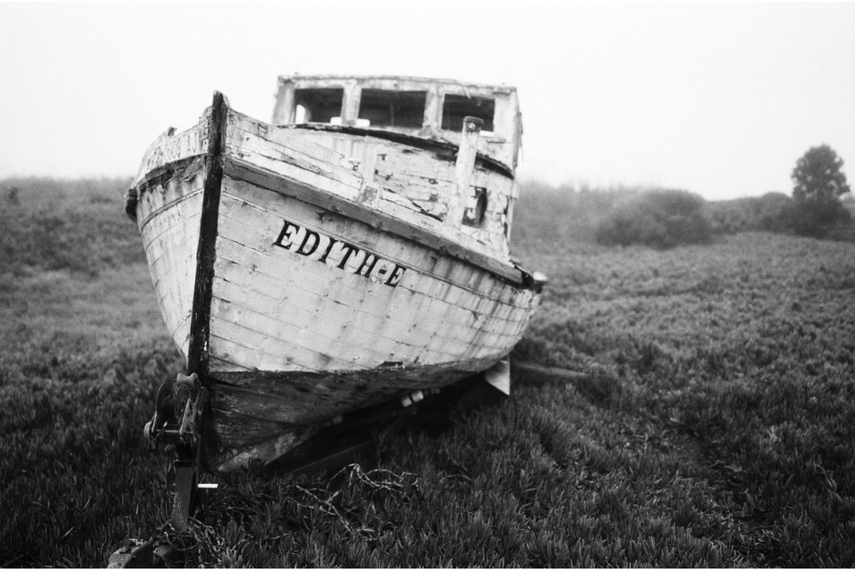 Lomography Potsdam 100 / 135 - 36exp. - ISO 100 / B&W